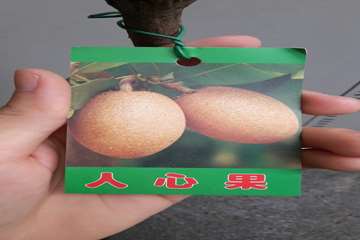 57a4470e7c908