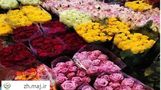 photo28741462723 