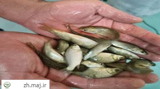 photo28789855411 